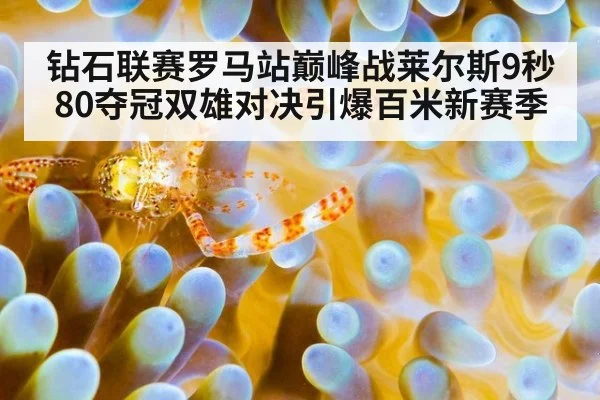 钻石联赛罗马站巅峰战莱尔斯9秒80夺冠双雄对决引爆百米新赛季