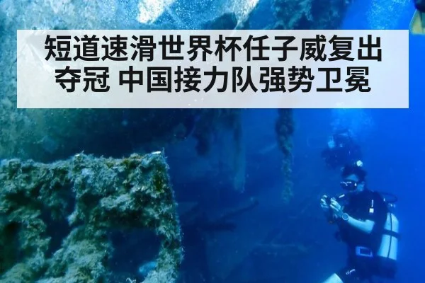 短道速滑世界杯任子威复出夺冠 中国接力队强势卫冕